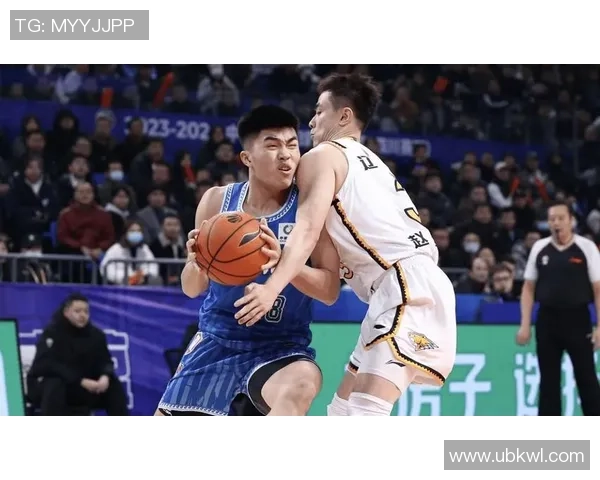 2018年11月11日辽宁对阵四川精彩比赛录像回放全程回顾与分析