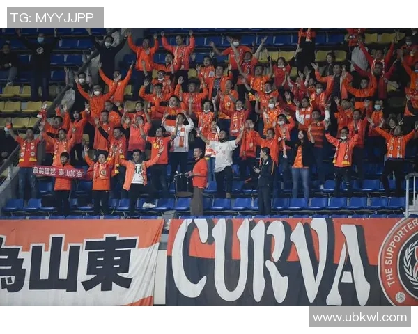 鲁能主场迎战河北队中超第八轮精彩对决回顾与分析